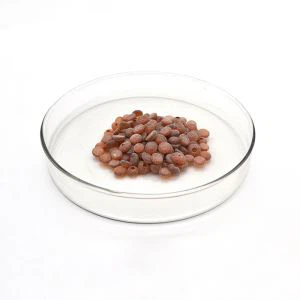 TMQ Antioksidan karet 26780-96-1