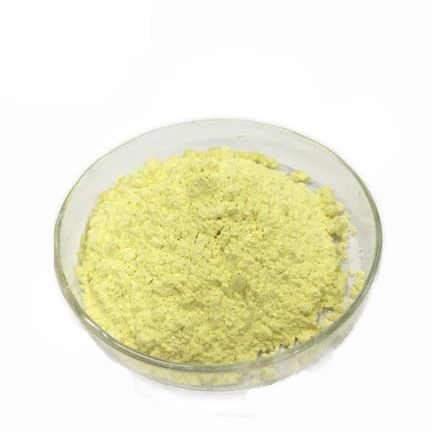 POWDER MBT